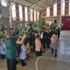 Celebración Domingo de Ramos